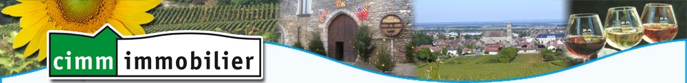 Immobilier CHENOVE
